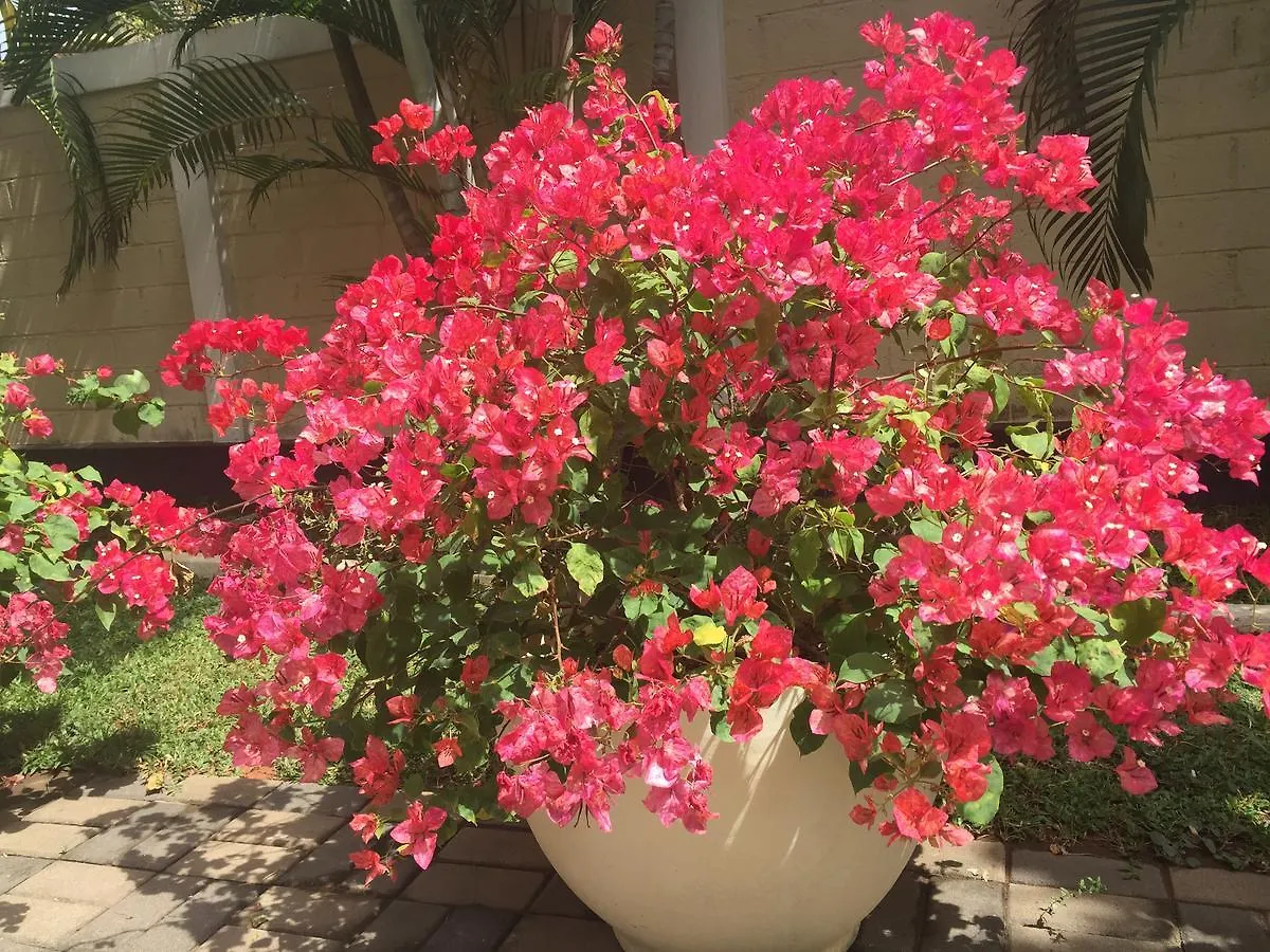 Natasha Garden Boutique Resort Negombo Sri Lanka
