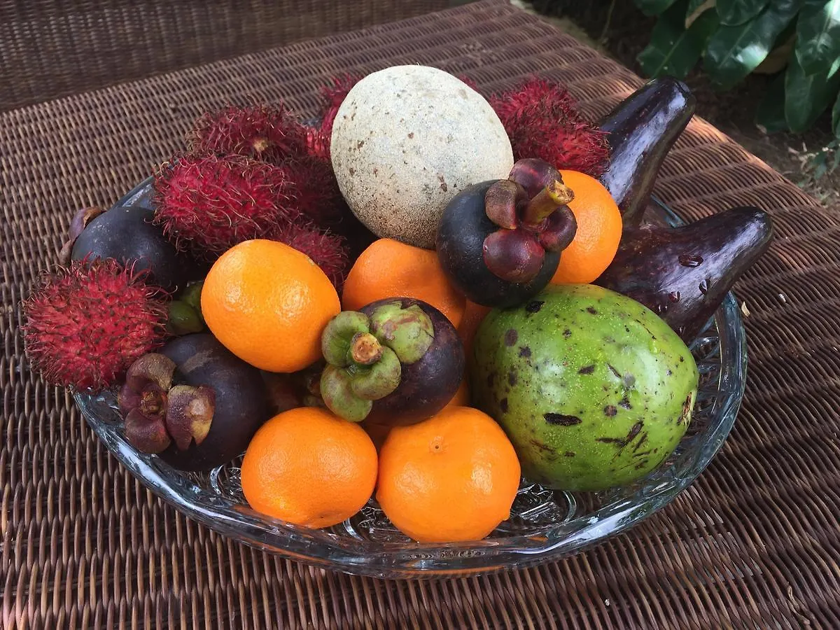 Natasha Garden Boutique Resort Negombo